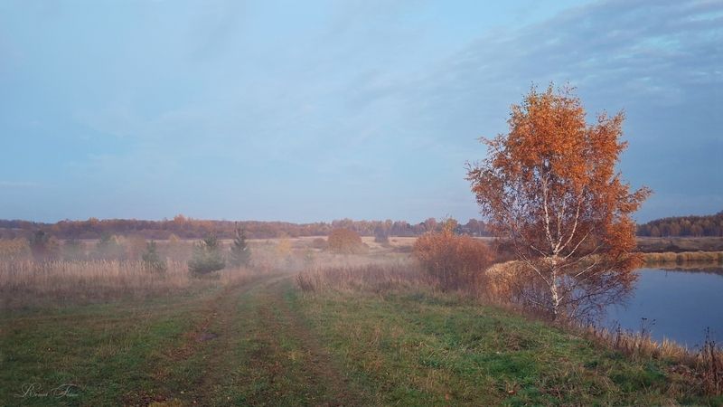 Костромской край.photo preview