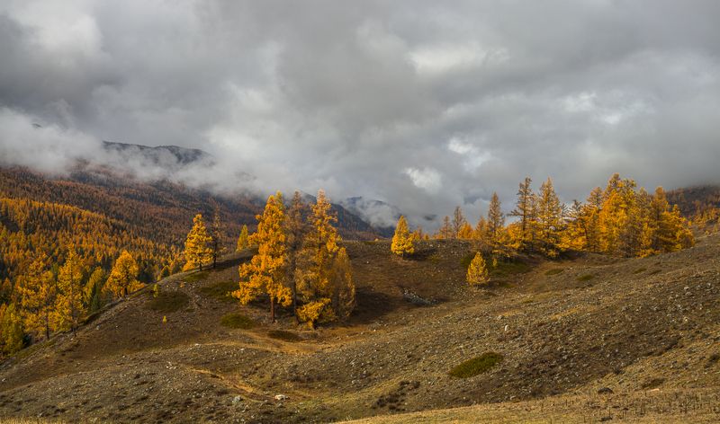 россия, горный алтай,осень,утро, низкая облачность Утро после дождяphoto preview