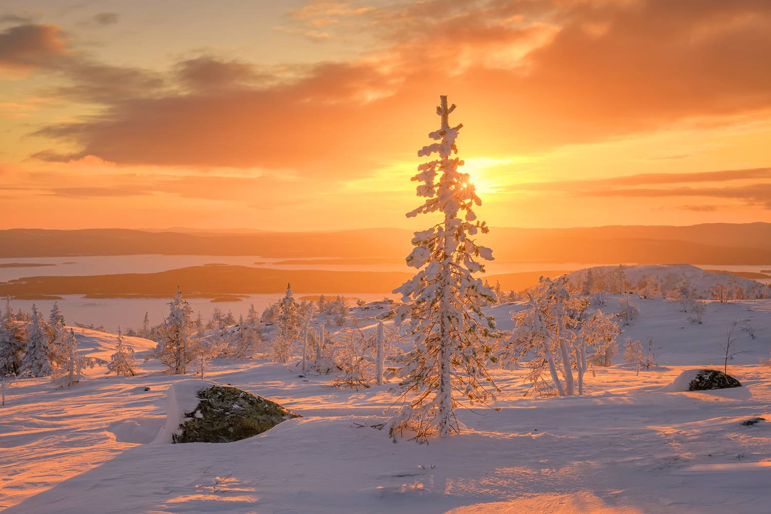 , Евдокимов Максим