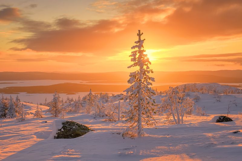 Солнечное настроение...photo preview