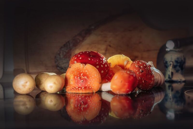 Мухоморы фото превью