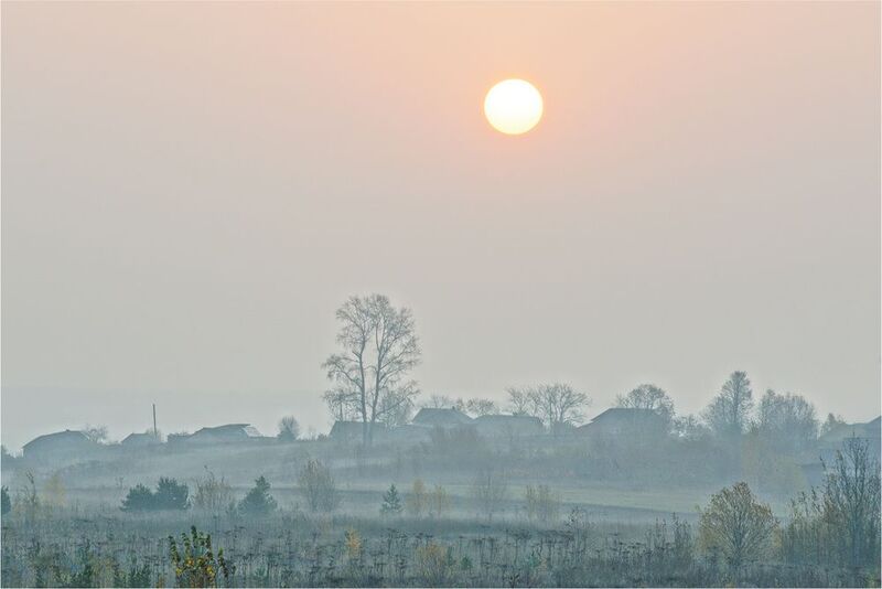 Утренняя дрёмаphoto preview