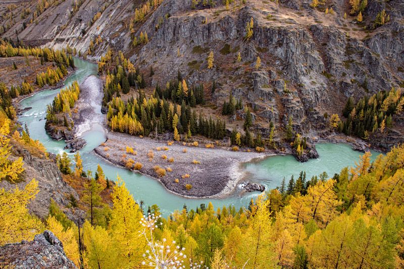 алтай р.Аргутphoto preview