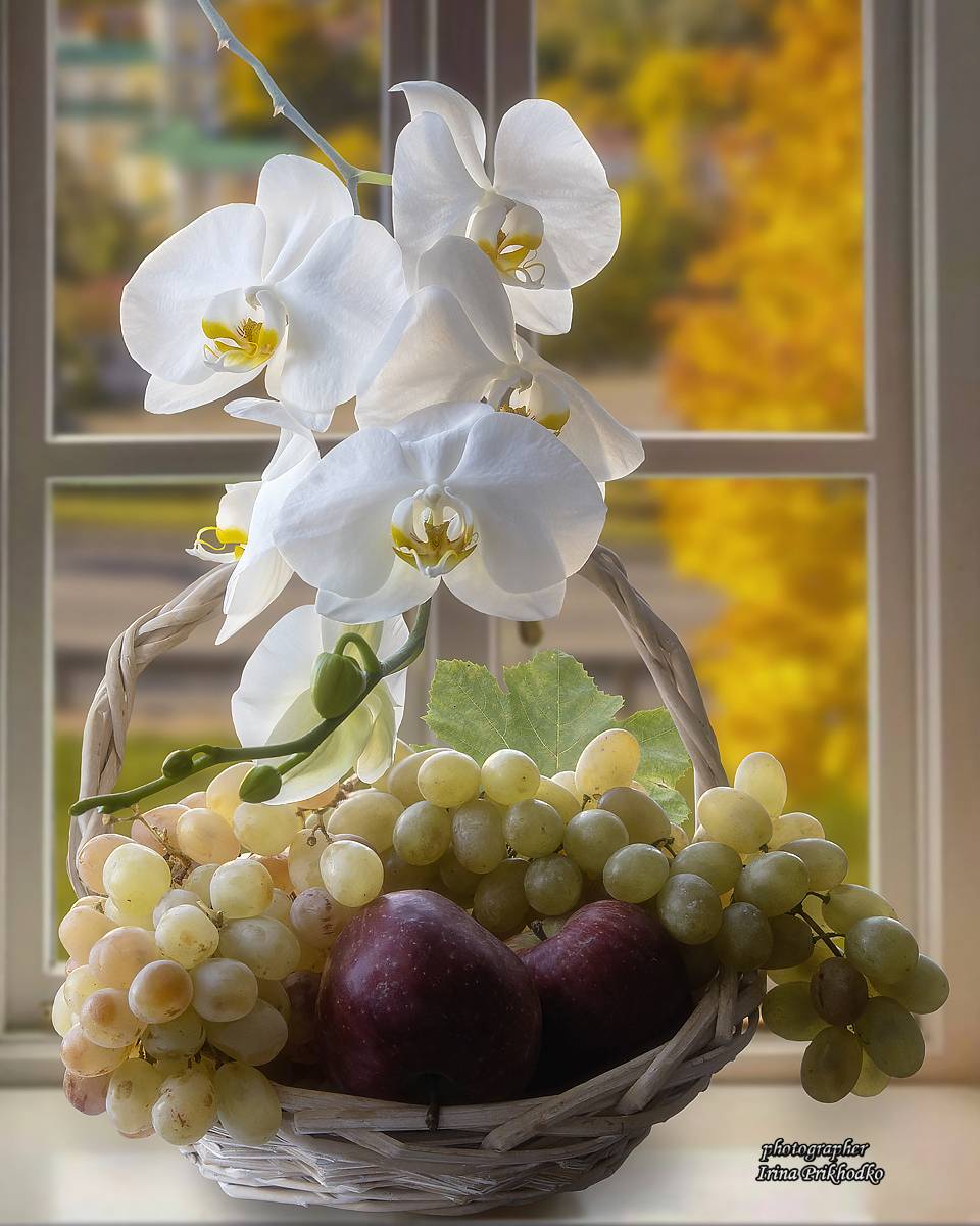 натюрморт, цветы, орхидеи, фрукты, Приходько Ирина