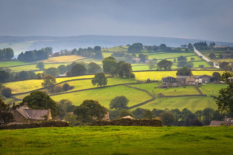 Сельский пейзажphoto preview