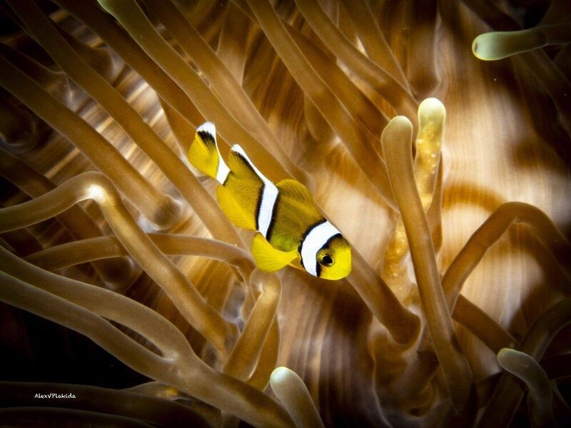 Это мой дворphoto preview