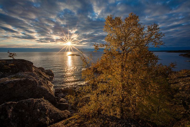 карелия, ладожское озеро, ладожские шхеры, осень. Золотое утро осени. Ладога.photo preview