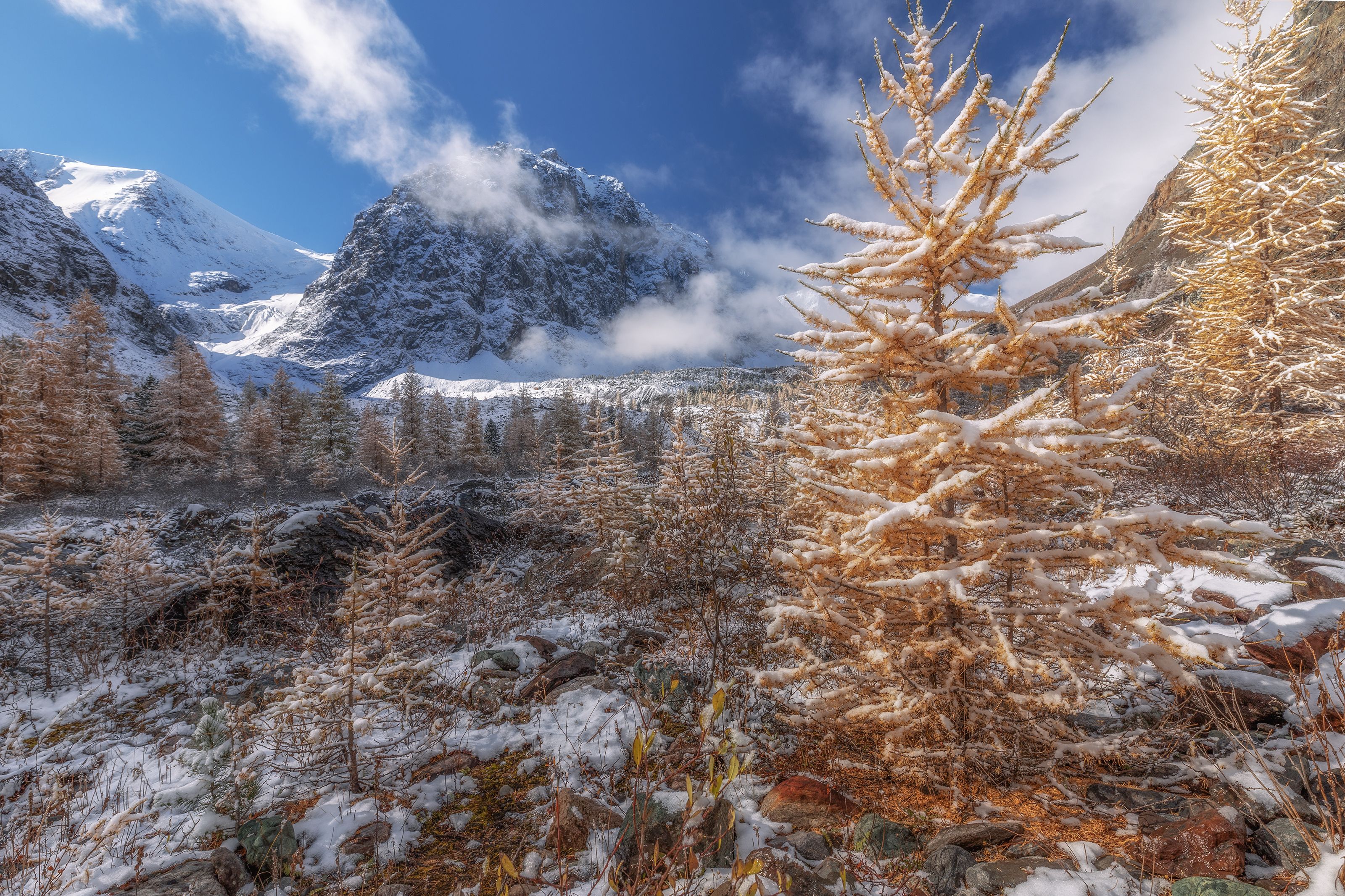 Алтай photo preview