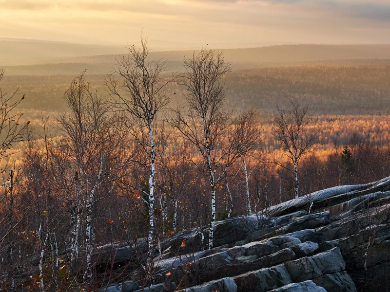 Конец золотаphoto preview