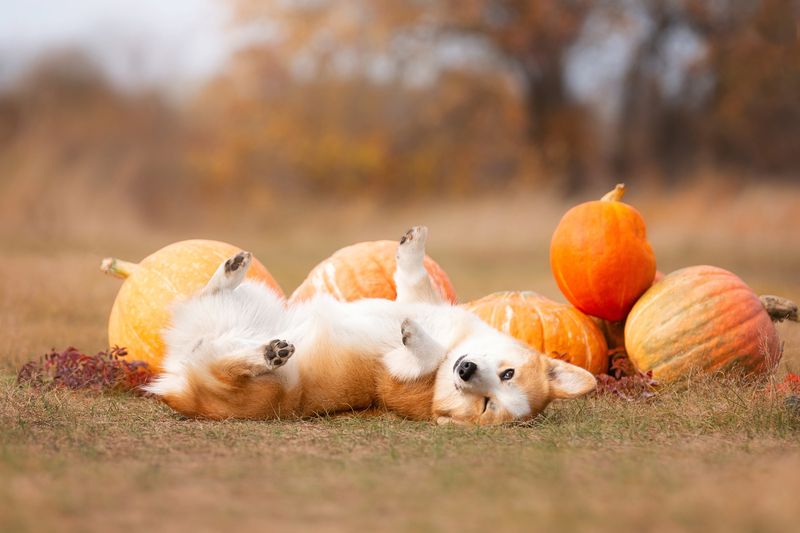 Жизнь удаласьphoto preview