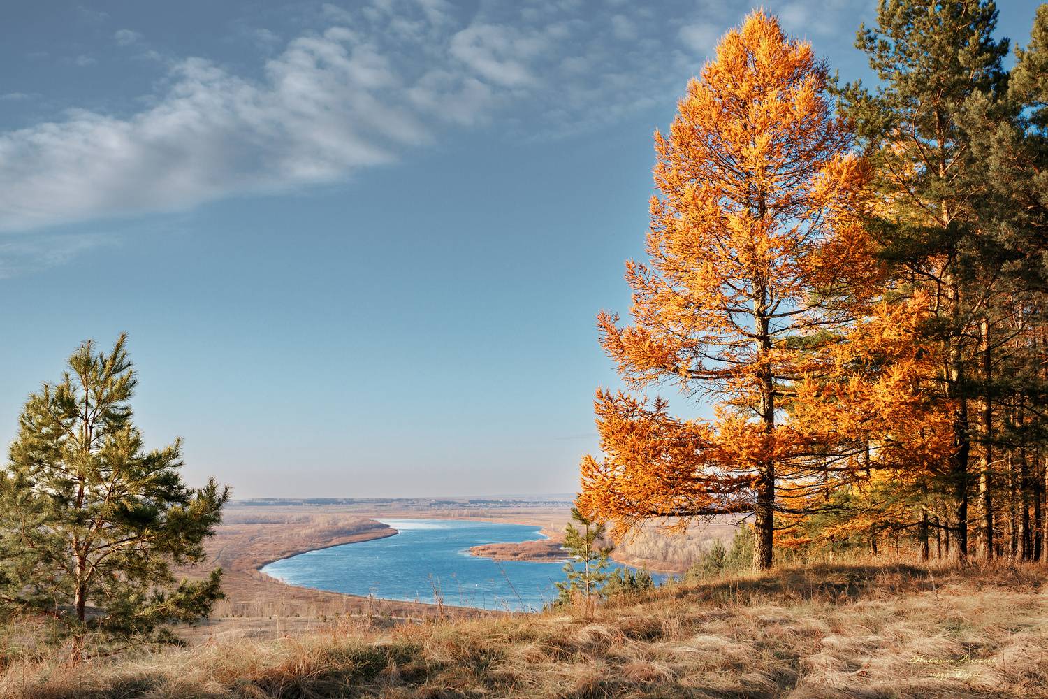 , Никитин Алексей