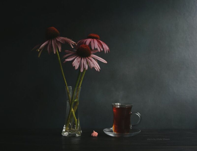 цветы, чай, натюрморт, напиток, аромат, вкусно, flowers, still life, drink, aroma, delicious, bouquet , flowers, эхинацея, чай, echinacea, tea Эхинацея и чайphoto preview
