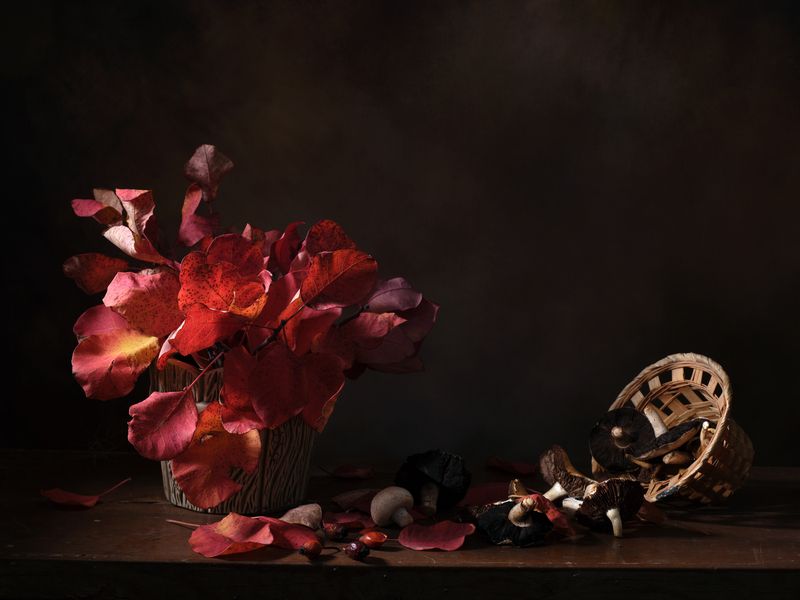 Осенняя с шампиньонами IIphoto preview