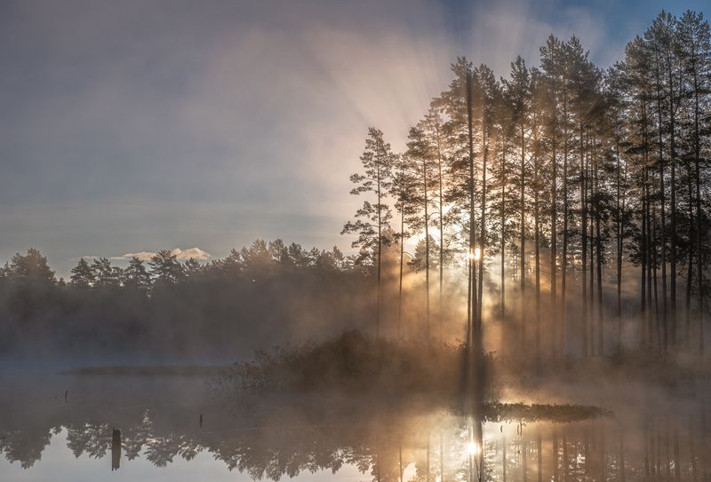 Осеннее утроphoto preview
