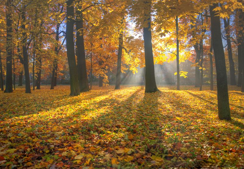 очей очарование...photo preview