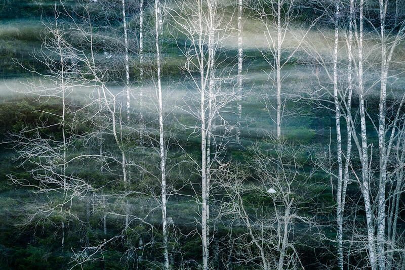 Призрачно всё...photo preview