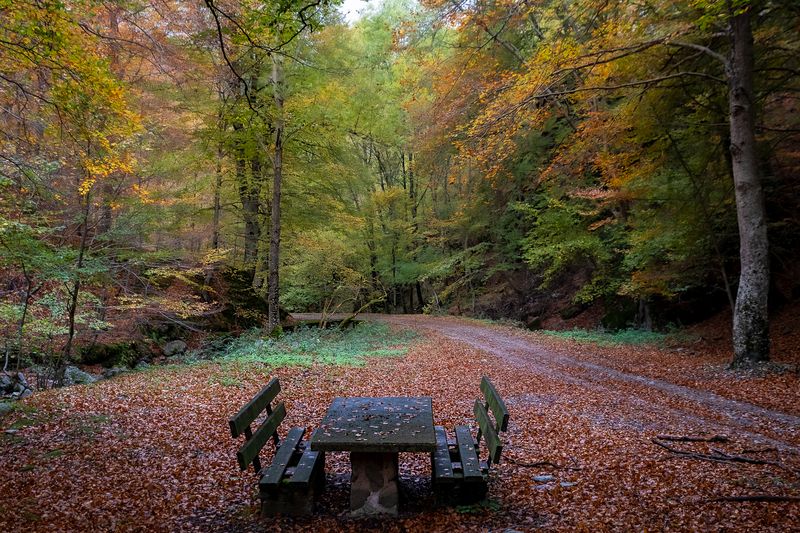 Cárdenas.photo preview