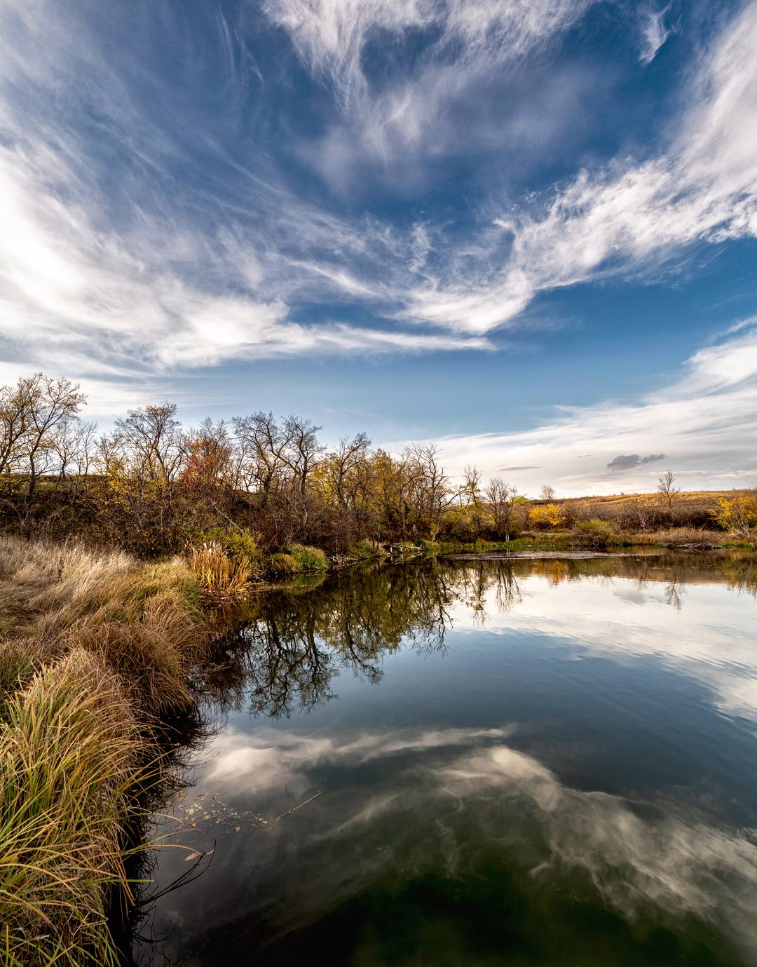 Природная симметрия. Автор: Диденко Юрий , Диденко Юрий