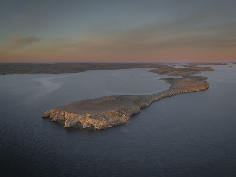 Кошачья лапка в море Баренца. Новая Земляphoto preview