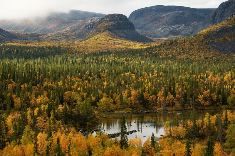 Путь на перевал.photo preview