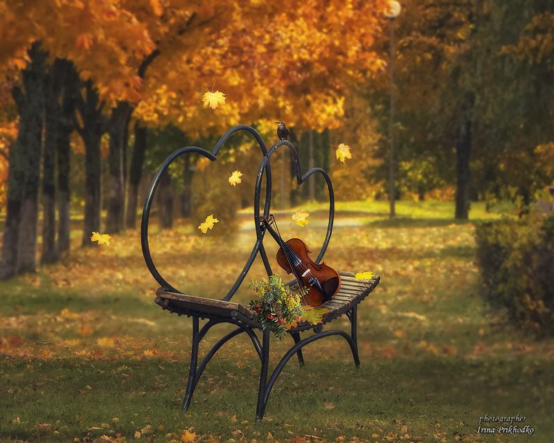 натюрморт, пленэр, осень, настроение Осенняя мелодияphoto preview