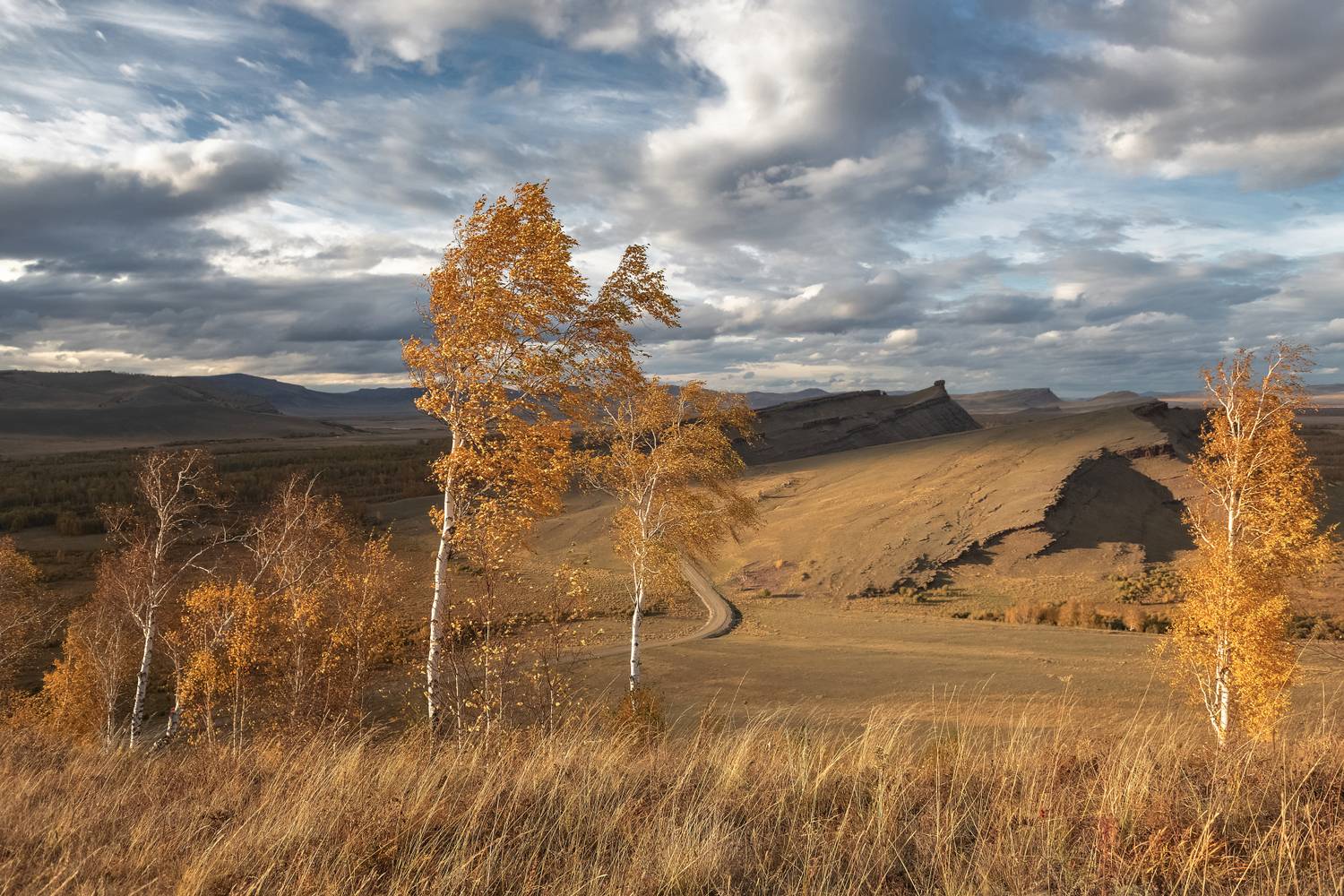 Закатное солнце. Автор: Марина Фомина сибирь,сундуки, березы, хакасия, закат, енисейская сибирь, Марина Фомина