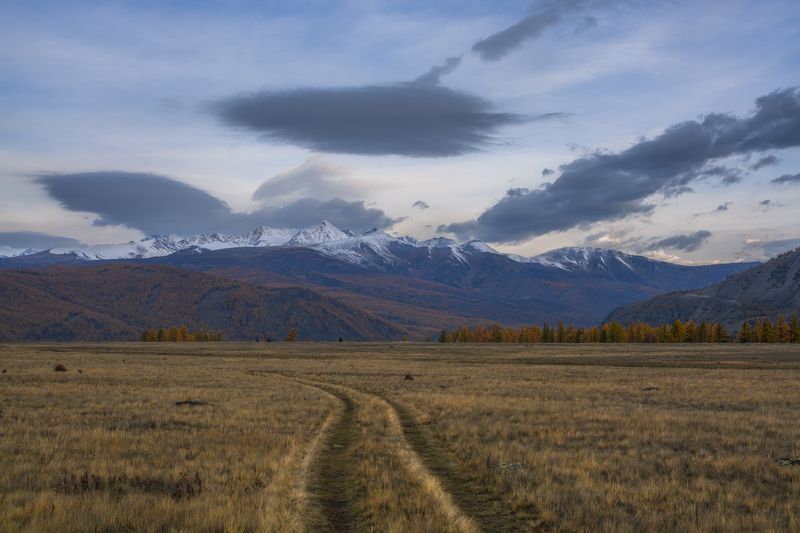 россия, горный алтай, степь, степь среди гор, утро, осень Утром в степиphoto preview