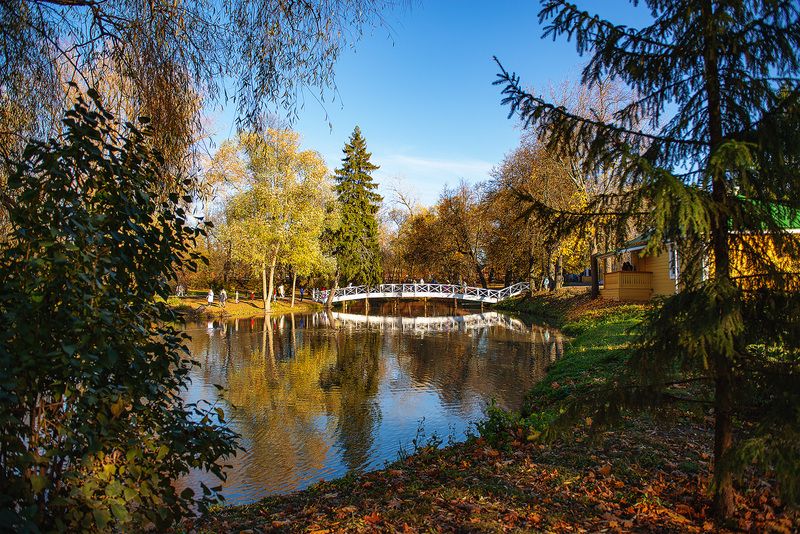 природа, осень, болдино Большое Болдиноphoto preview