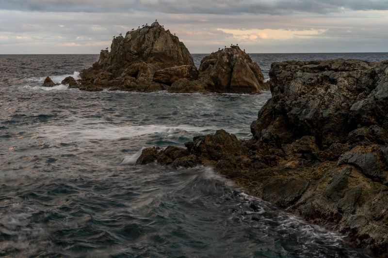 Россия, Приморский край, Японское море, полуостров Гамова, бухта Теляковского, чайки, Приморье,  В Приморьеphoto preview