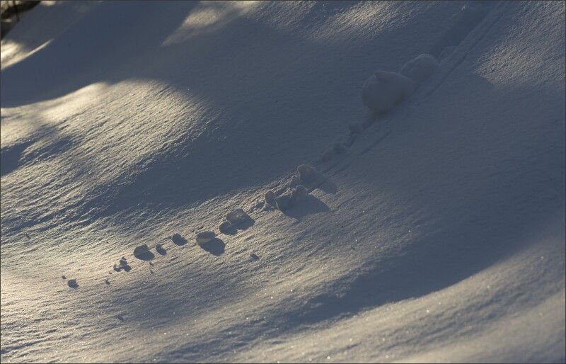 снег ** *photo preview