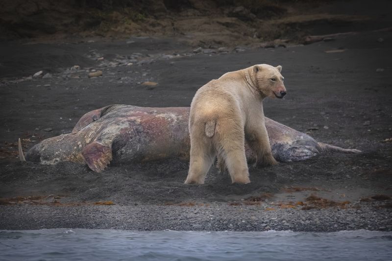 Кто посмел оторвать от еды?photo preview