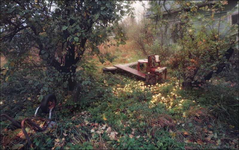 Дети вырослиphoto preview