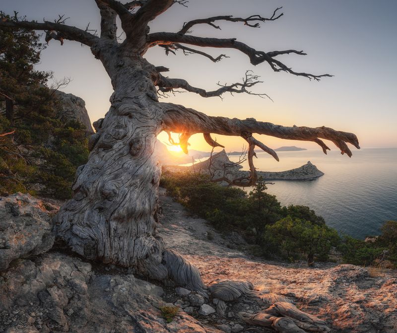 Крым, рассвет, море Старожилphoto preview