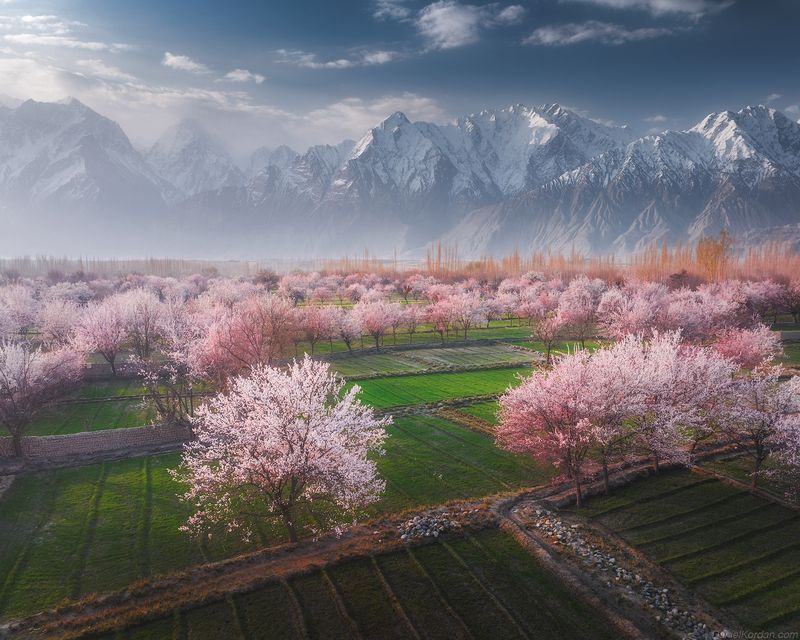 Pakistanphoto preview