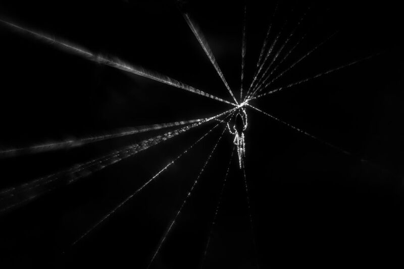 Недоделкаphoto preview