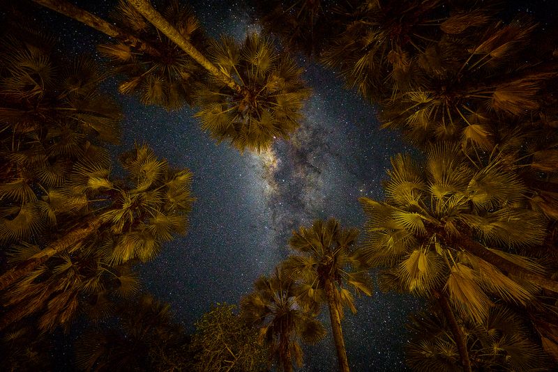 Намибийские истории...photo preview