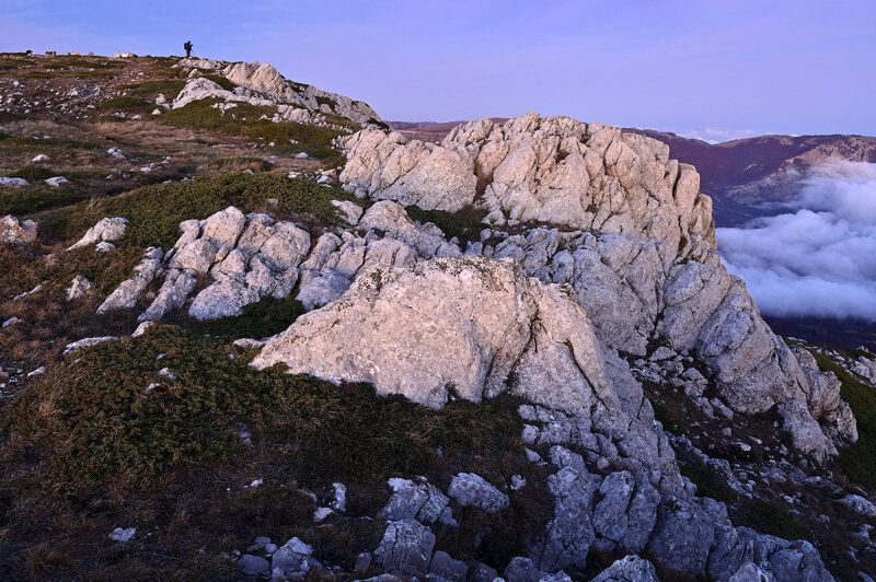 Цвет ночи.photo preview