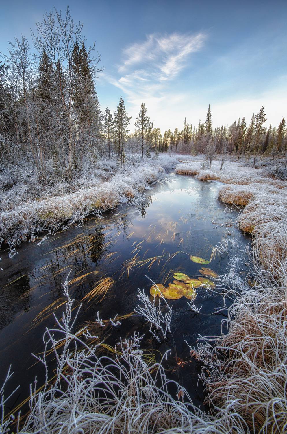 , Тихонов Сергей