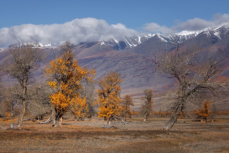 алтай, горный алтай, курай, горы, облака  фото превью