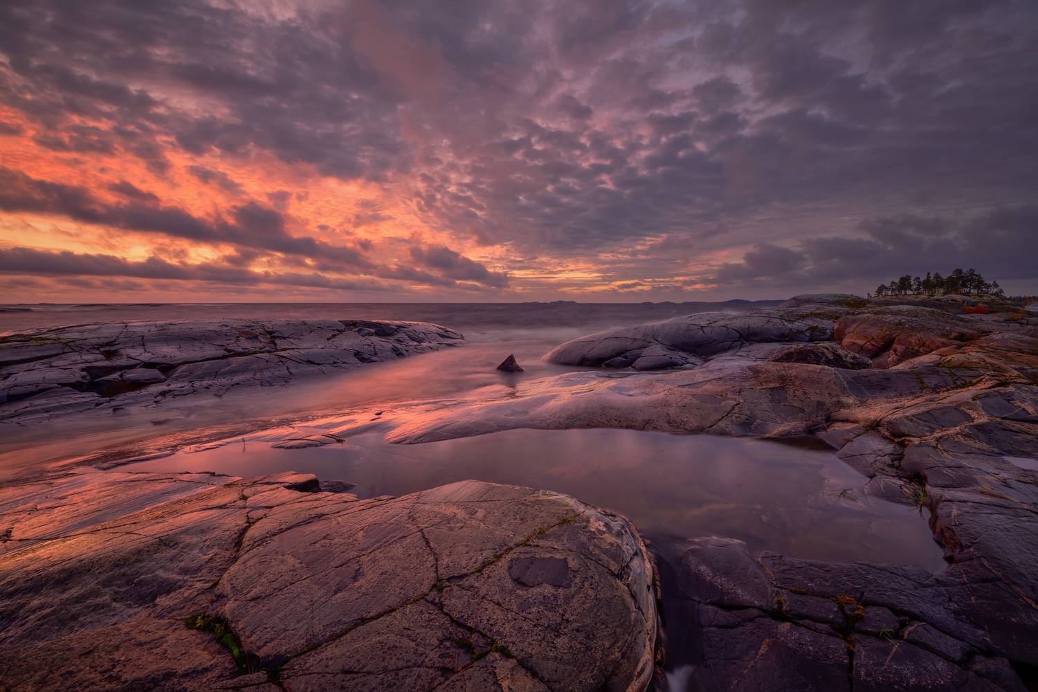 , Евдокимов Максим