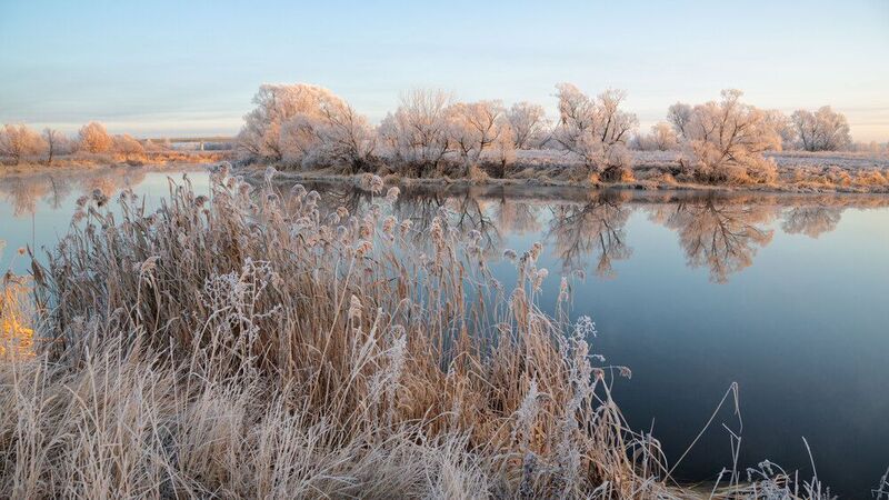 Осень в серебре!photo preview