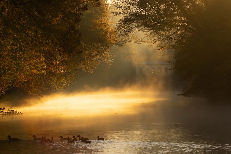 Autumn фото превью