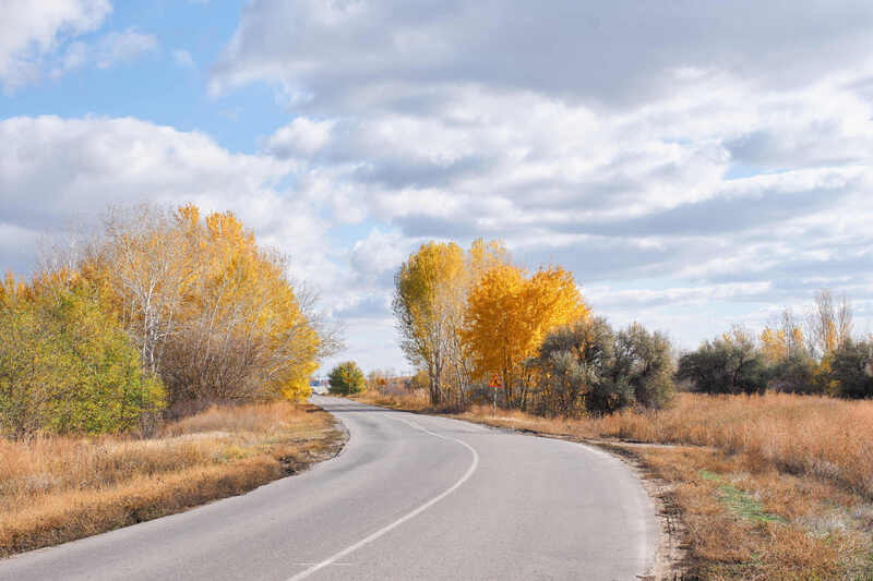 осень, желтый, волгоград, россия,  Дорога в осеньphoto preview