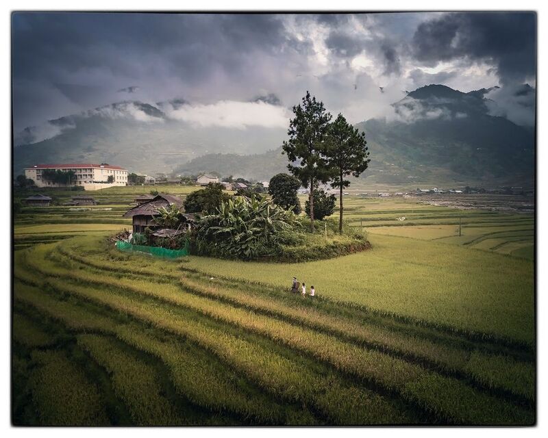 Возвращение домой. Рисовые террасы Вьетнамаphoto preview