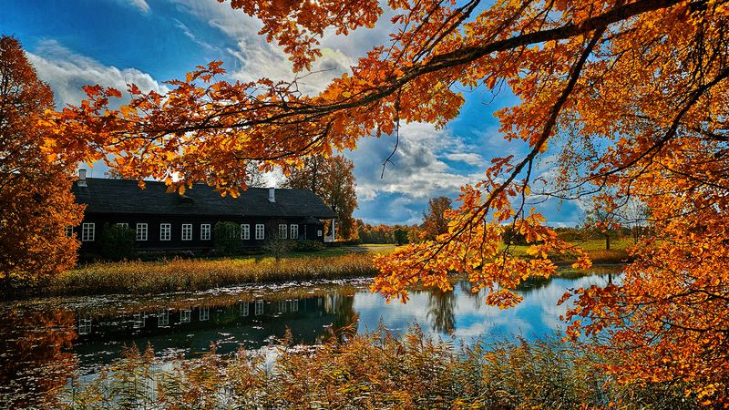 Тригорскоеphoto preview