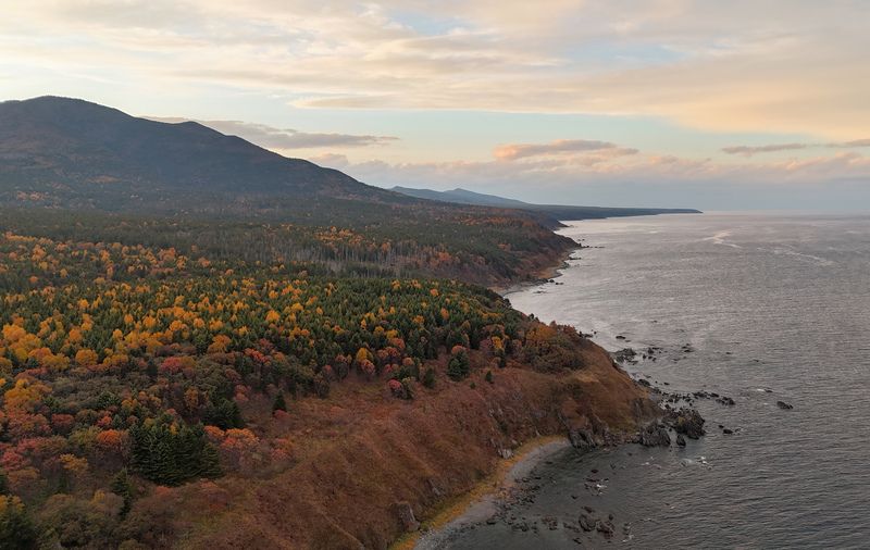Сахалинская осень фото превью