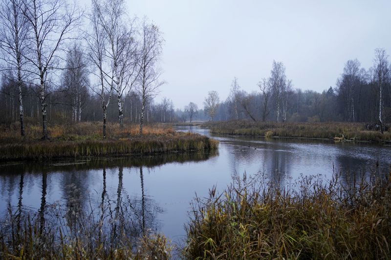 Прогулка в Зверинцеphoto preview