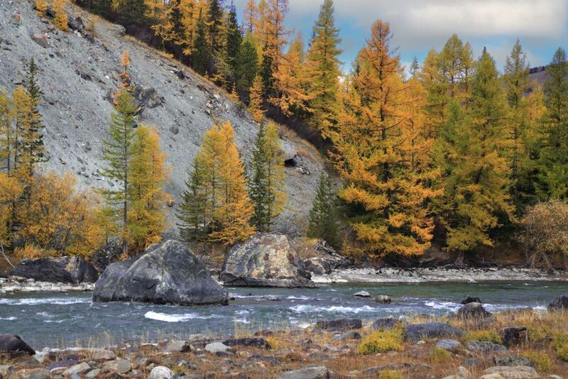 р. Чуяphoto preview