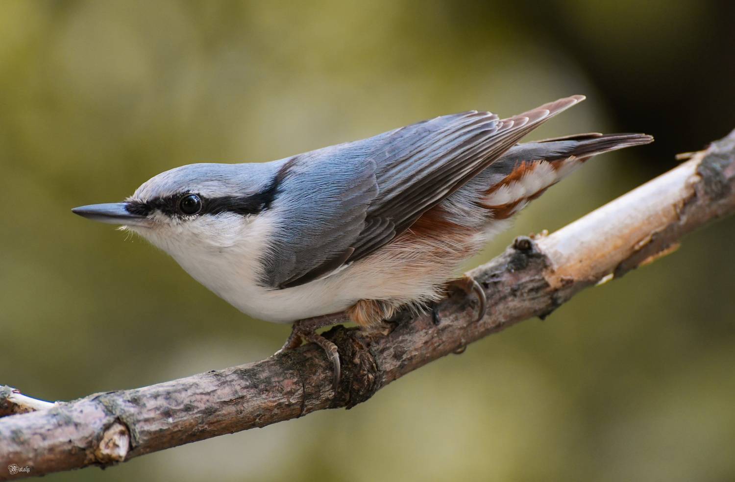 , Наталья Екимова