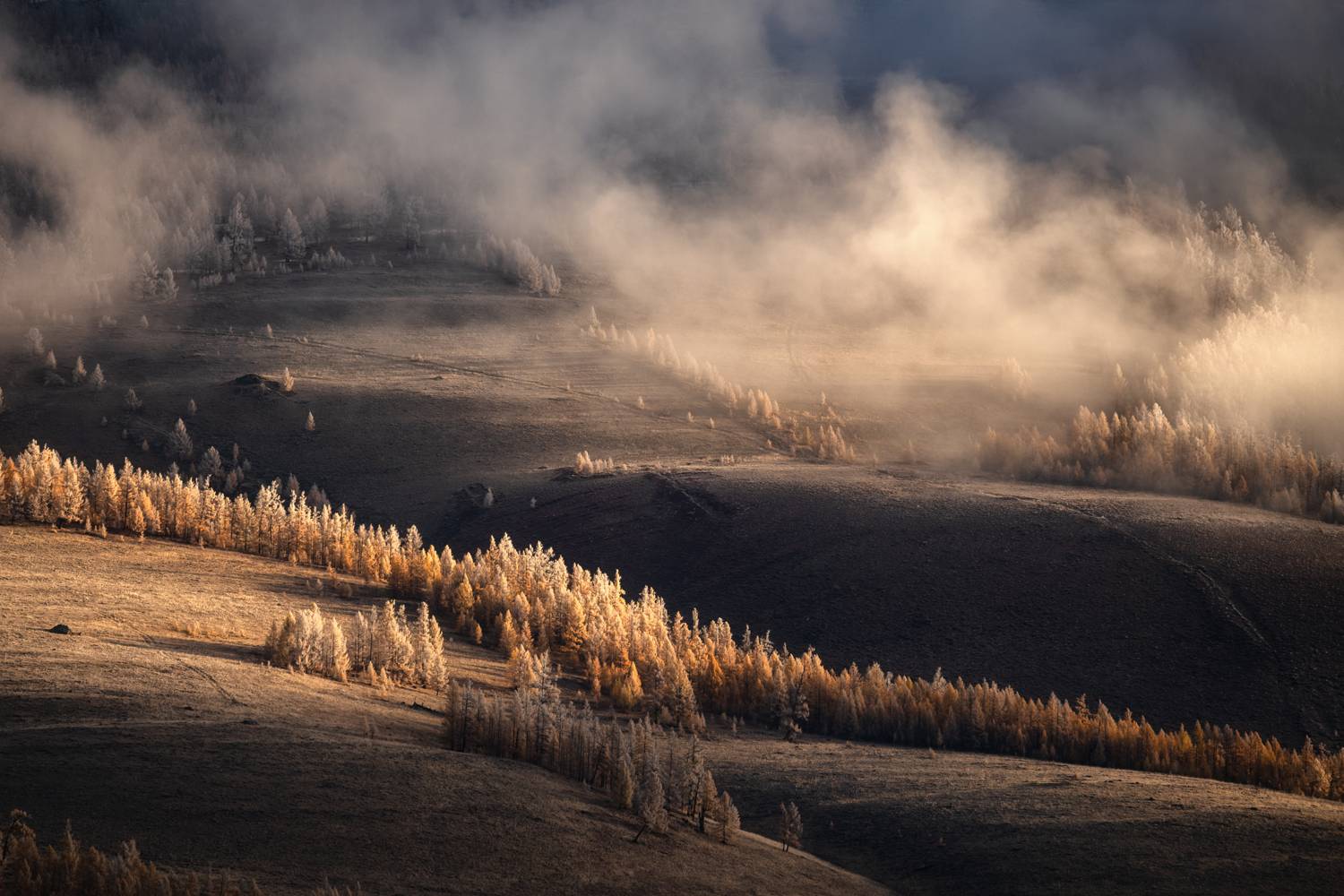 алтай, горный алтай, пейзажи алтая, кош-агачский район, курайский хребет, куржак, иней, золотая осень, горы, осенний алтай, горная тайга, Рубан Елена